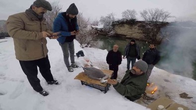 Balikçil Kusun Imdadina Ekipler Yetisti