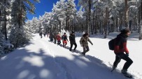 Doga Tutkunlarindan Sündiken Daglari'nin Essiz Kar Manzarasinda Zirve Yürüyüsü