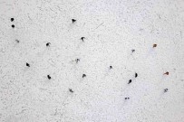 Donan Arin Gölü Üzerinde Futbol Keyfi