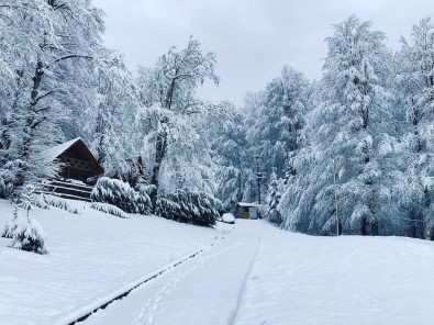 Güzeldere Selalesi Kampçilarin Ugrak Noktasi Oldu