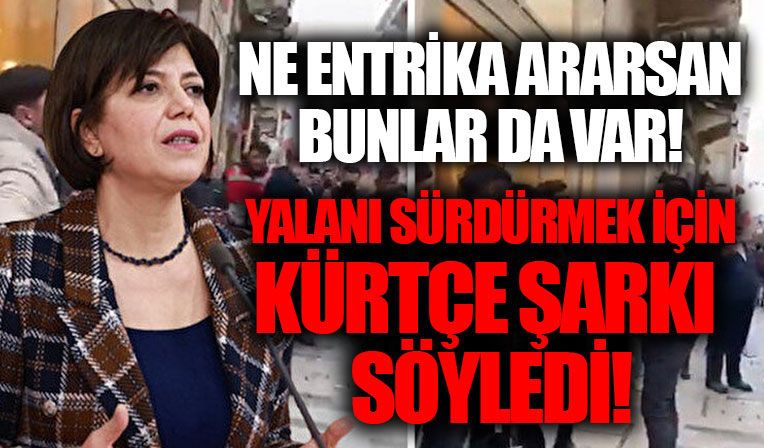HDP'li Beştaş asılsız iddiayı TBMM'ye taşıdı: Kürsüde Kürtçe şarkı söyledi