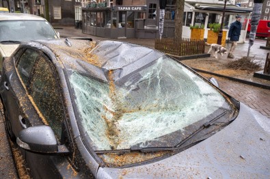 Hollanda'yi 'Corrie' Firtinasi Vurdu