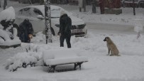 Isparta'da  Aniden Bastiran Kar Kalinligi 15 Santimetreyi Geçti