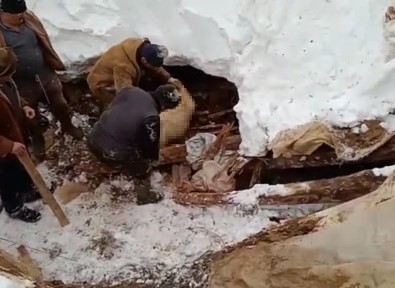 Kahramanmaras'ta Çig Düstü, Keçiler Telef Oldu