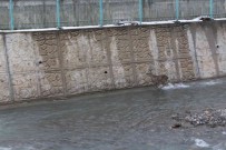 Kar Yagisinda Yolunu Kaybeden Iki Karaca, Inebolu Çayina Indi