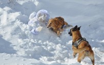 Kars'ta Komandolardan Çigda Arama Kurtarma Egitimi