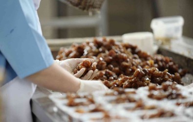 Kestane Sekeri Ihracati Artiyor