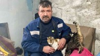 Kis Ayinda Kapisini Kedilere Açti