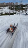 Köpegin Karda Kayak Keyfi