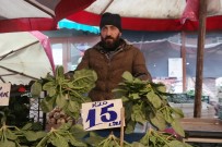 Olumsuz Hava Sartlari Ispanak Fiyatlarini Ikiye Katladi