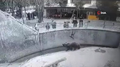 Özbekistan'da Anne 3 Yasindaki Kizini Ayinin Yanina Atti