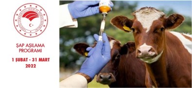 Samsun'da Ilkbahar Sap Asilama Programi Basliyor