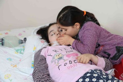 Sila'nin Hayati Adeta Elektrige Bagli