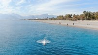 Turizm Geliri 4'Üncü Çeyrekte Yüzde 95 Artti
