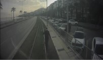 Vatman Tramvayi Durdurdu, Raylardaki Davetsiz Misafire Yardim Etti