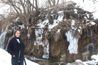 Arpet Selalesi Kismen Dondu