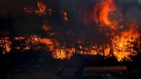 Bakanlık duyurdu: Yangınla mücadelede dev hamle!
