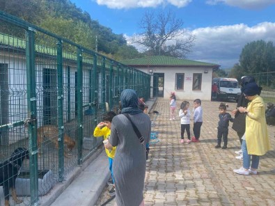 Barinak Içine Laboratuvar Ve Ameliyathane Yapilacak