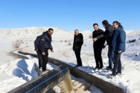 Çayirli Göletine Su Aktarimi Basladi