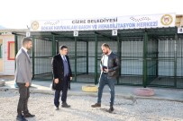 Cizre Belediyesinden Sahipsiz Hayvanlar Için Geçici Bakimevi