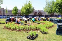 Diyarbakir 2021'De 3 Milyon 500 Bin Mevsimlik Çiçekle Süslendi