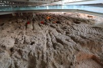 Dogu Garaji Nekropol Alani Müze Oluyor