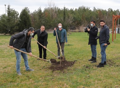 Edirne'de IHA'nin Kurulus Yildönümü Için Fidan Dikildi