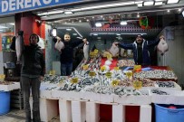 Karadeniz'de En Ucuz Baligin Kilosu 10, En Pahali Baligin Kilosu 250 TL