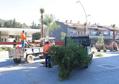 Marmaris'in Kaldirimlari Yemyesil Oluyor