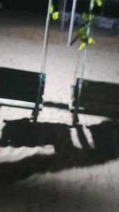 Antalya'daki Korkutan Depremin Ardindan Hayat Normal Döndü