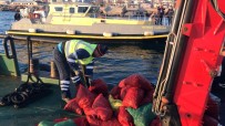 Bayrampasa Hali'nde 5 Ton Kaçak Midye Ele Geçirildi Açiklamasi Canli Midyeler Denize Birakildi