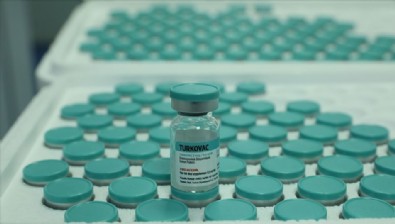 TURKOVAC Aşı Randevusu Nasıl Alınır?