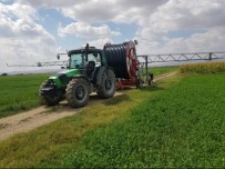 Çaldigi Tarim Aletini Internet Üzerinden Satti