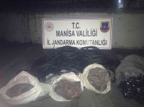 Kablo Hirsizlari Jandarmaya Yakalandi