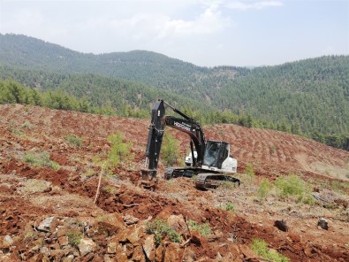 Mersin'de 2021'De 2,5 Milyon Fidan Dikildi