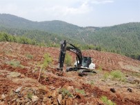 Mersin'de 2021'De 2,5 Milyon Fidan Dikildi