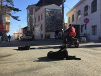Rumeli Feneri Köyü'ne Topluca Birakilan Köpekler Köylülerin Korkulu Rüyasi Haline Geldi