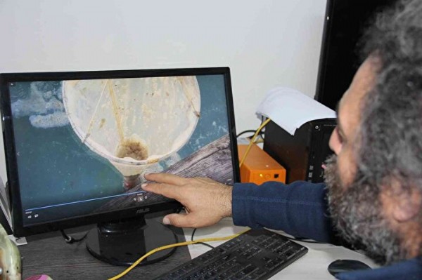 Kabus yeniden başladı: Marmara'dan sonra Mersin'de de görüldü