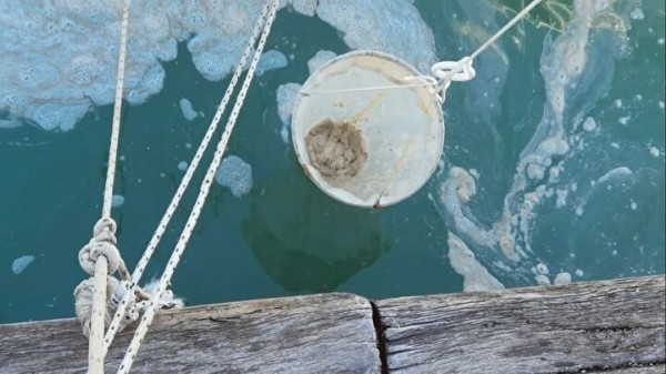 Kabus yeniden başladı: Marmara'dan sonra Mersin'de de görüldü