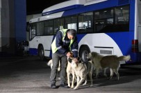 Ankara'da Köpekle Eglenceli Dakikalar Geçiren EGO Soförü Konustu Açiklamasi