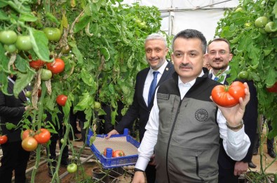 Bakan Pakdemirli Açiklamasi 'Seracilik Hizli Bir Sekilde Büyüyor'