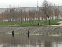Köpeklerin Korkusundan Dereye Kaçtilar, Köpekler Çikmalarini Bekledi