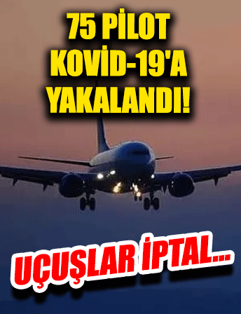 Meksika'da 75 pilot Covid-19’a yakalandı hava ulaşımı felç oldu