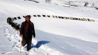 Mus'ta Besicilerin Hayvanlariyla Kar Üzerindeki 6 Kilometrelik Zorlu Yolculugu