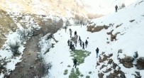Tunceli'de Dogaya Yem Birakildi, Dag Keçileri Akin Etti
