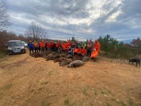Ekinlere Zarar Veren 33 Domuz Bir Günde Vuruldu