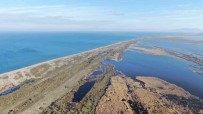 Karacabey Longoz Ormanlari Suyla Bulusmaya Basladi