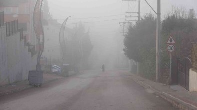 Kocaeli Güne Sisle Basladi