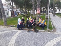 Sokak Hayvanlari Yalniz Degil