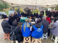 Üniversiteli Gençler Düzce'yi Taniyor